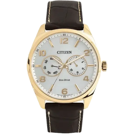 luxury watches for men with intricate mechanical design-Citizen AO9024-08A Men Watch